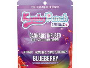 Kushy Punch Blueberry Recover